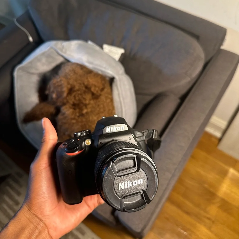 Nikon d3400 dslr